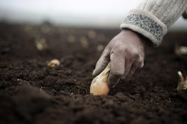 IICA y Argentina estrechan lazos para formación en técnicas agrícolas - MarketData