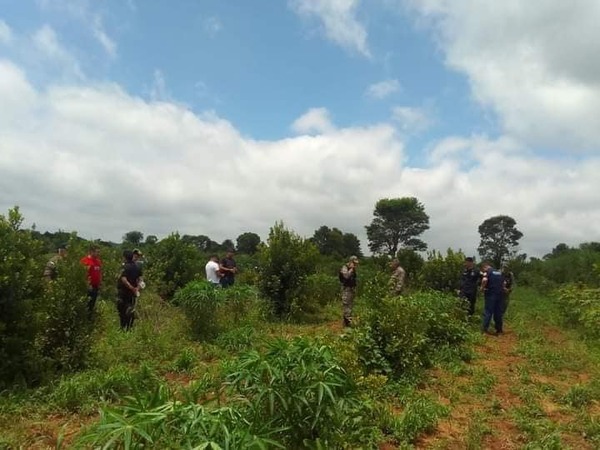 Cuerpo hallado pertenece a ciudadano sudafricano | 1000 Noticias