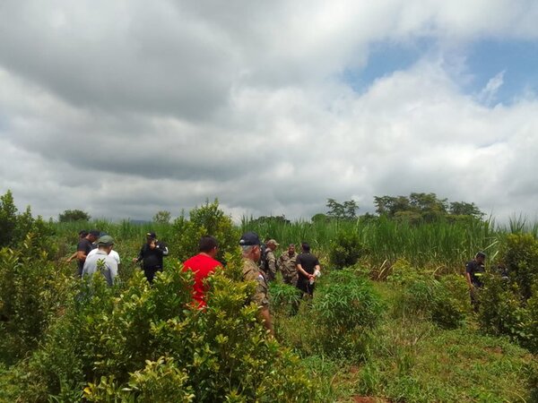 Sudafricano fue asesinado: descomposición data de 4 a 5 días