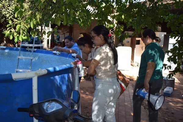 Se inició campaña de eliminación de criaderos de arbovirus tras aumento de casos positivos de chikunguña - Nacionales - ABC Color