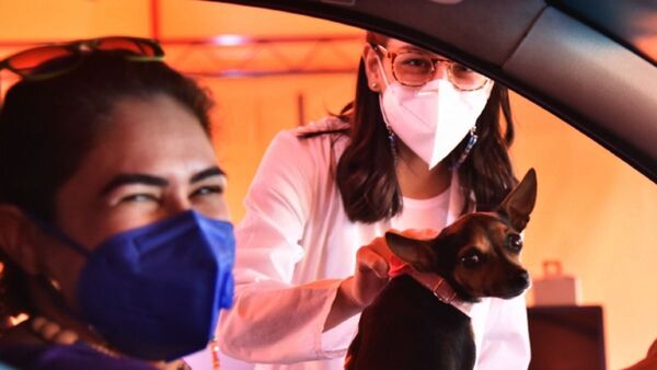 Jagua Cabina: Verificarán caries y dolor de muela en perros y gatos