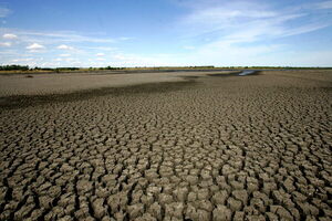 Uruguay brindará ayuda económica a los productores rurales para hacer frente a la sequía - MarketData