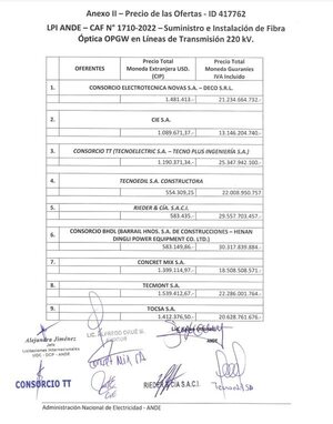 Nueve empresas ofertaron a la ANDE en licitación de fibra óptica - Economía - ABC Color