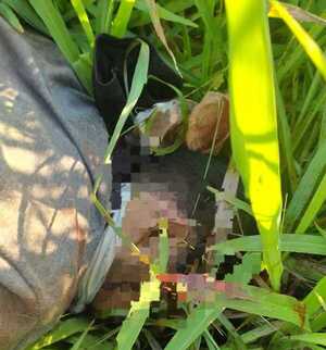Hallan muerto a joven raptado en PJC