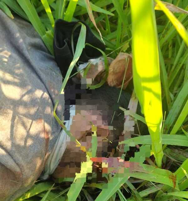 Hallan muerto a joven raptado en PJC