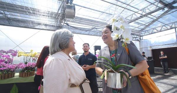 La Nación / Comercializaron 1.700 orquídeas por un valor de G. 80 millones en feria de los enamorados