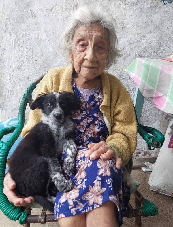 La "abuelita Pabla" necesita de sus nietos de corazón