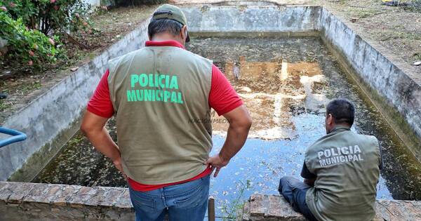 La Nación / Chikungunya: arduo combate al mosquito - OJO Galería