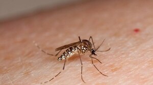 Habilitan consultorio exclusivo para pacientes con chikungunya, en fase subaguda