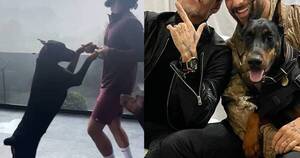 La Nación / Canción con frases en guaraní de Maluma ya tiene challenge oficial