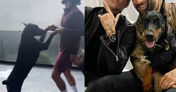 La Nación / Canción con frases en guaraní de Maluma ya tiene challenge oficial