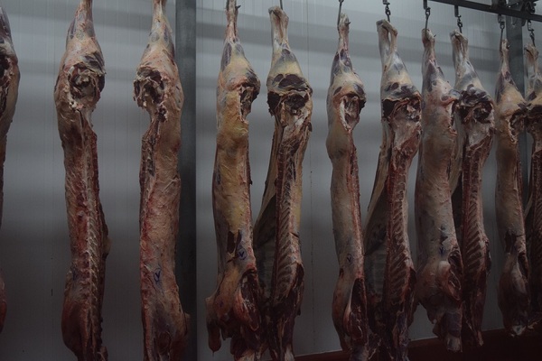 Brasil exportó 33 mil toneladas de carne bovina a EE.UU. entre noviembre y enero