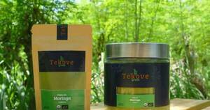 La Nación / La moringa encuentra evolución en la industrialización de productos