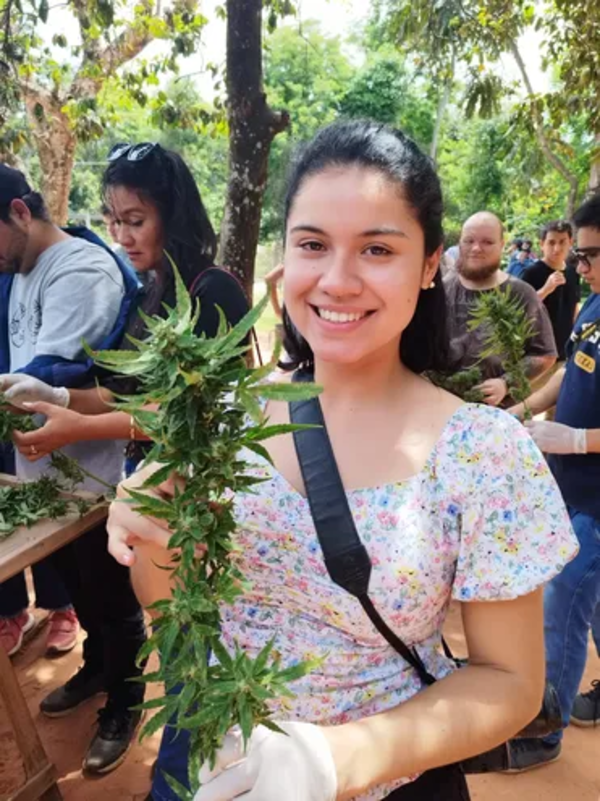 Inédita cosecha pública de marihuana se realizó en la comunidad Agüerito