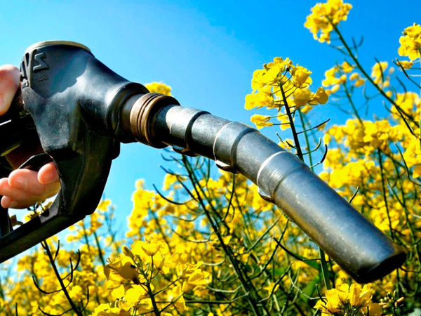 Un crecimiento del 5,5% registró la producción de biocombustibles en el 2022 | Análisis Macro | 5Días