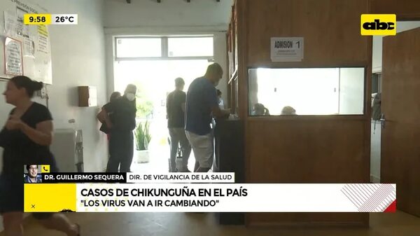 Casos de chikunguña en el país - ABC Noticias - ABC Color