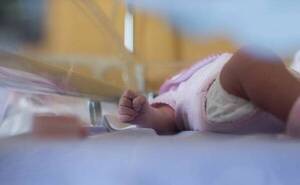 Unas 50 personas están en UTI por chikungunya, casi la mitad son menores de un año