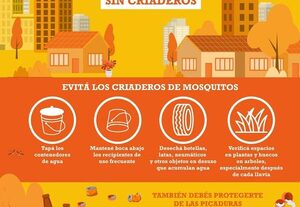 Hay casi 12 mil casos confirmados de chikungunya en Paraguay
