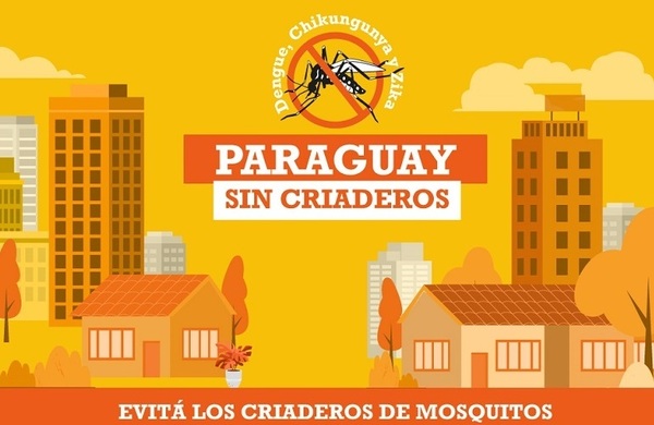 Salud registra más de 11.000 afectados de Chikungunya | Lambaré Informativo