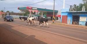 Urgen creación de Juzgado de Falta en San José de los Arroyos - Noticiero Paraguay