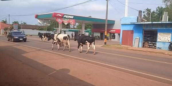 Urgen creación de Juzgado de Falta en San José de los Arroyos - Noticiero Paraguay
