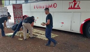 HALLAN PANES DE MARIHUANA EN BUS QUE TRANSPORTABA A NIÑOS FUTBOLISTAS - La Voz del Norte