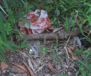 Encontraron a recién nacida en un baldío