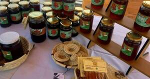 La Nación / Productores chaqueños apuntan a cosecha de 3.000 litros de miel de abeja