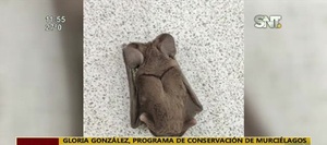 Visitas inesperadas: Especies exóticas entre nosotros - SNT