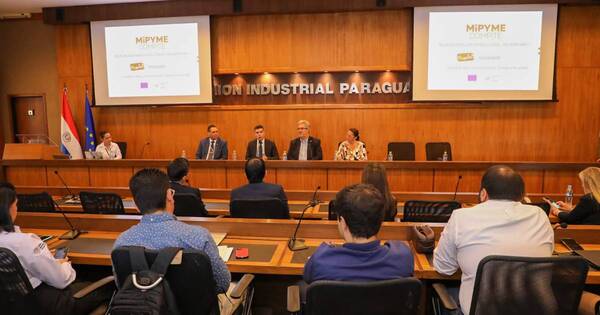 La Nación / Confirman continuidad del programa Mipyme Compite de la Unión Europea