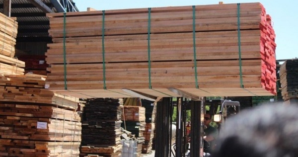 Exportación de productos de madera aumentó 28%