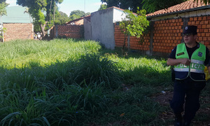 Tiran en un baldío a una bebé recién nacida - OviedoPress