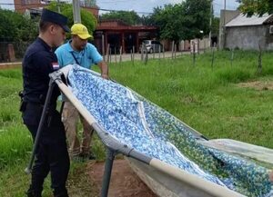 Aumentan los enfermos por chikunguña en Pilar - Nacionales - ABC Color