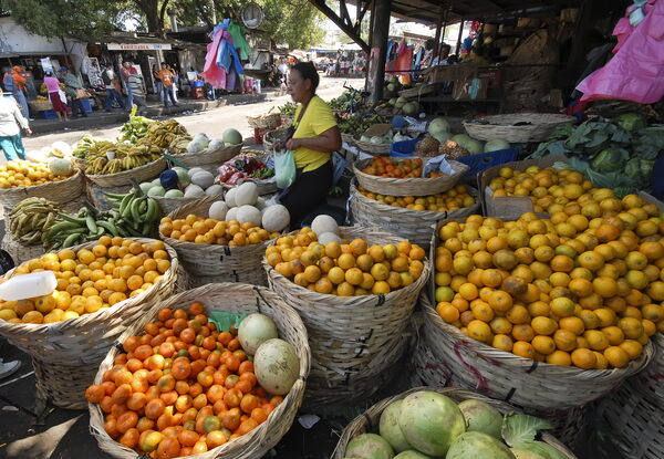 La actividad económica de Nicaragua subió un 3,6 % en diciembre de 2022 - MarketData