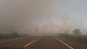 Misiones: Bomberos controlan incendio de gran magnitud en sojal - Noticias Paraguay
