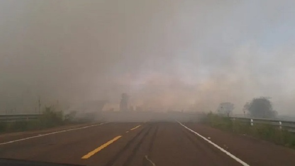 Misiones: Bomberos controlan incendio de gran magnitud en sojal - Noticias Paraguay