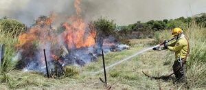 Gran incendio en Misiones generó susto y movilizó a bomberos - Nacionales - ABC Color