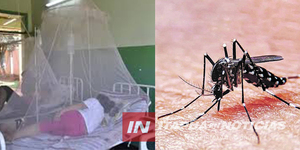 CASOS DE CHIKUNGUNYA Y DENGUE SE DISPARARON EN ITAPÚA - Itapúa Noticias