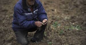 La Nación / El campo de Bolivia, golpeado por sequía, helada y cambio climático
