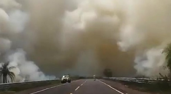 Misiones: Voraz incendio forestal en Santiago - C9N