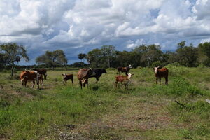 FARM con foco en mejorar accesos a mercados y la producción sostenible