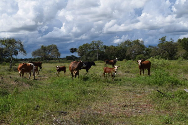 FARM con foco en mejorar accesos a mercados y la producción sostenible