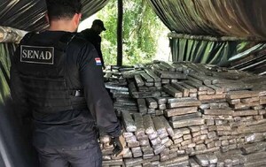 Incautan casi 7 toneladas de marihuana en Concepción – Prensa 5
