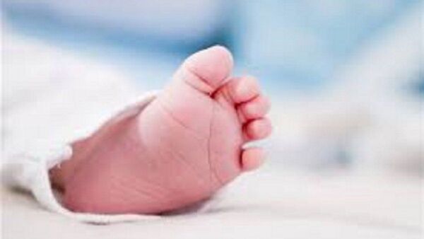 Beba abandonada estará al resguardo de una familia acogedora