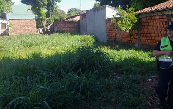 Beba abandonada estará al resguardo de una familia acogedora – Prensa 5