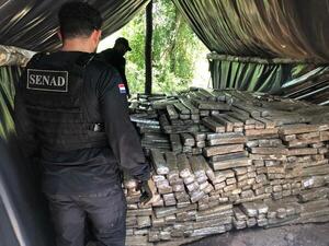 Desmantelan campamentos narcos e incautó casi 7 toneladas de marihuana en Concepción