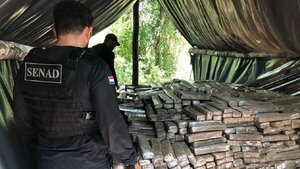 Senad incauta casi 7 toneladas de marihuana en Paso Bravo