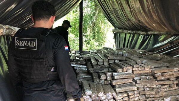 Senad incauta casi 7 toneladas de marihuana en Paso Bravo