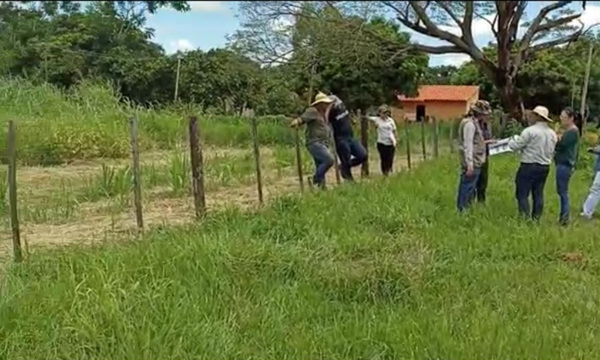 Santa Rosa del Mbutuy: Fiscalía interviene por segunda vez finca de soja por uso de agroquímicos - OviedoPress