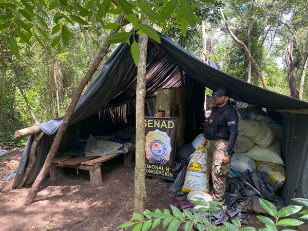 Diario HOY | Hallan narcocampamentos dentro de parque nacional
